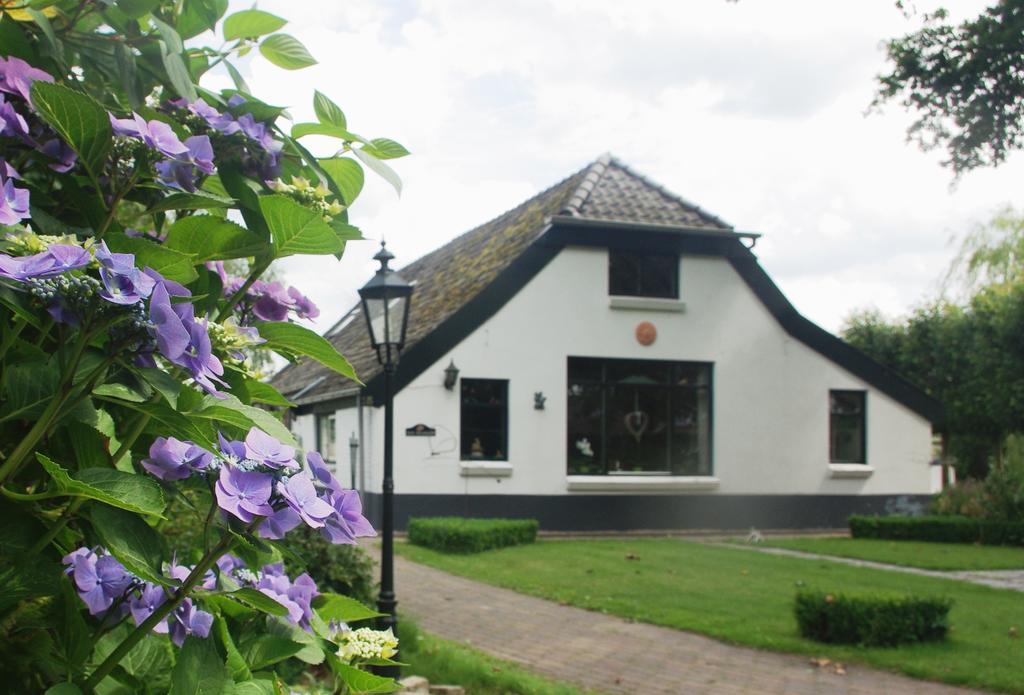 Bed&Breakfast 'T Eikeltje Hollandscheveld Екстер'єр фото